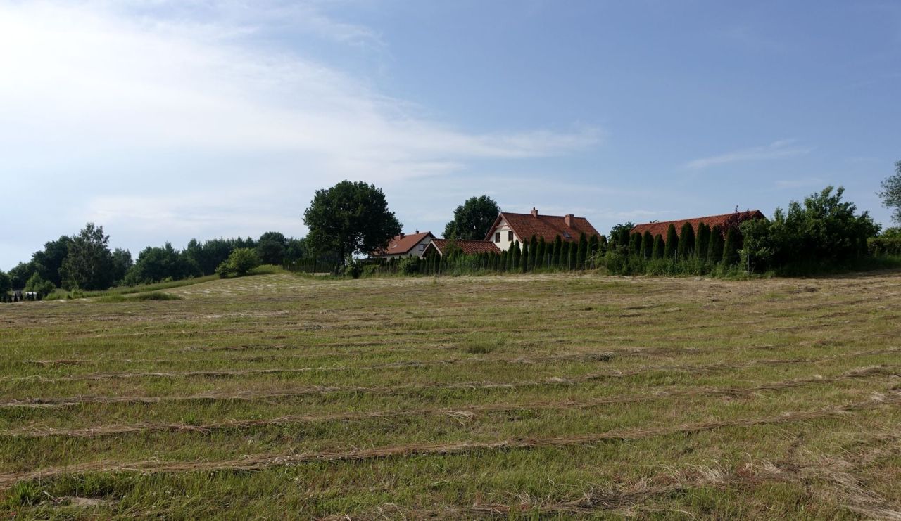 Działka rolno-budowlana Kaplityny. Zdjęcie 7