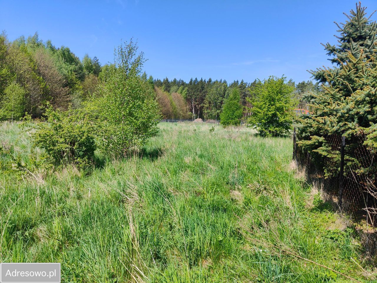 Działka budowlana Rusinowo. Zdjęcie 7