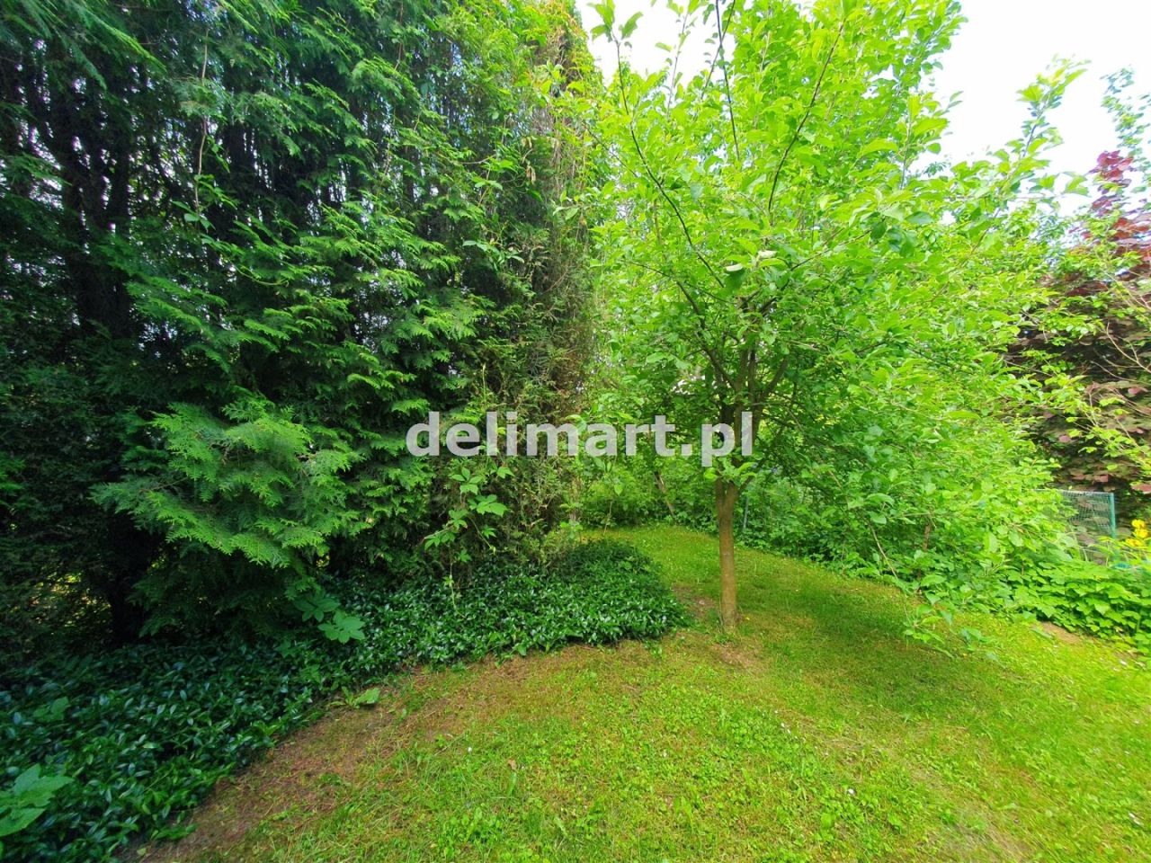 Działka rod Sanok Posada Sanocka, ul. Działkowa. Zdjęcie 12