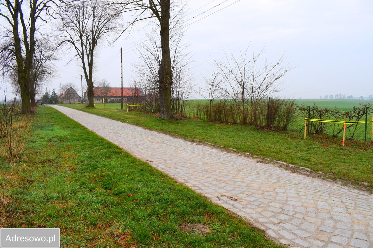 Działka budowlana Kursko. Zdjęcie 2