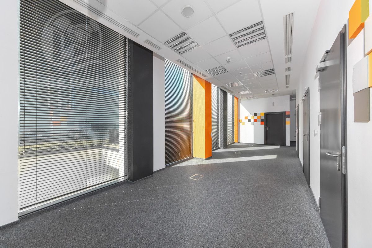 Lokal Wrocław Plac Grunwaldzki, ul. Szczytnicka. Zdjęcie 8