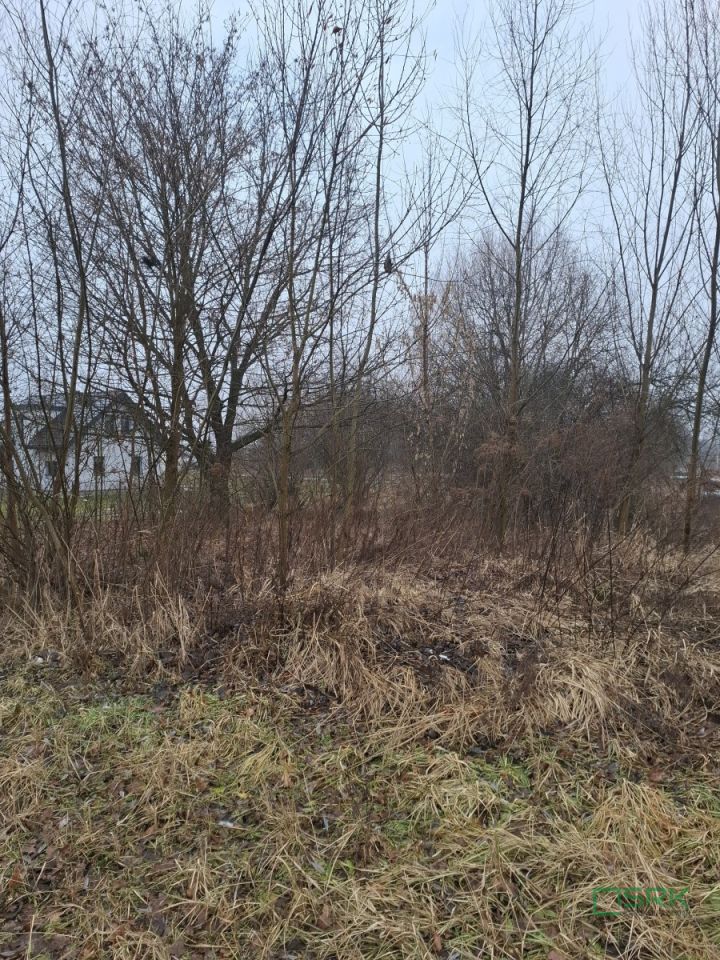 Działka Brzeszcze, ul. Przecieszyńska. Zdjęcie 4