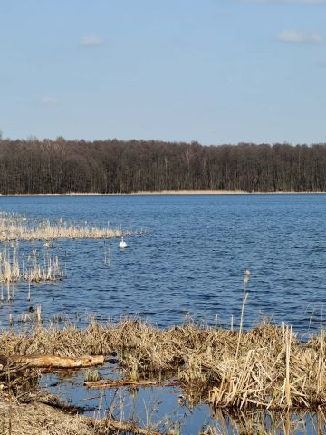 Działka budowlana Zawady, brak. Zdjęcie 9