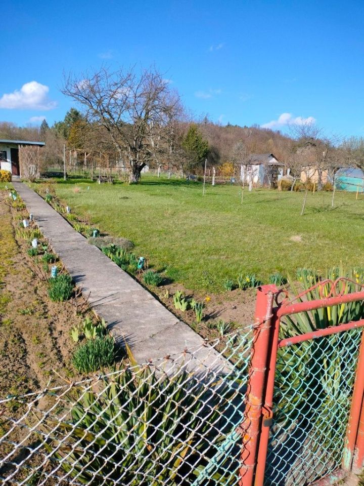 Działka rod Ziębice. Zdjęcie 5