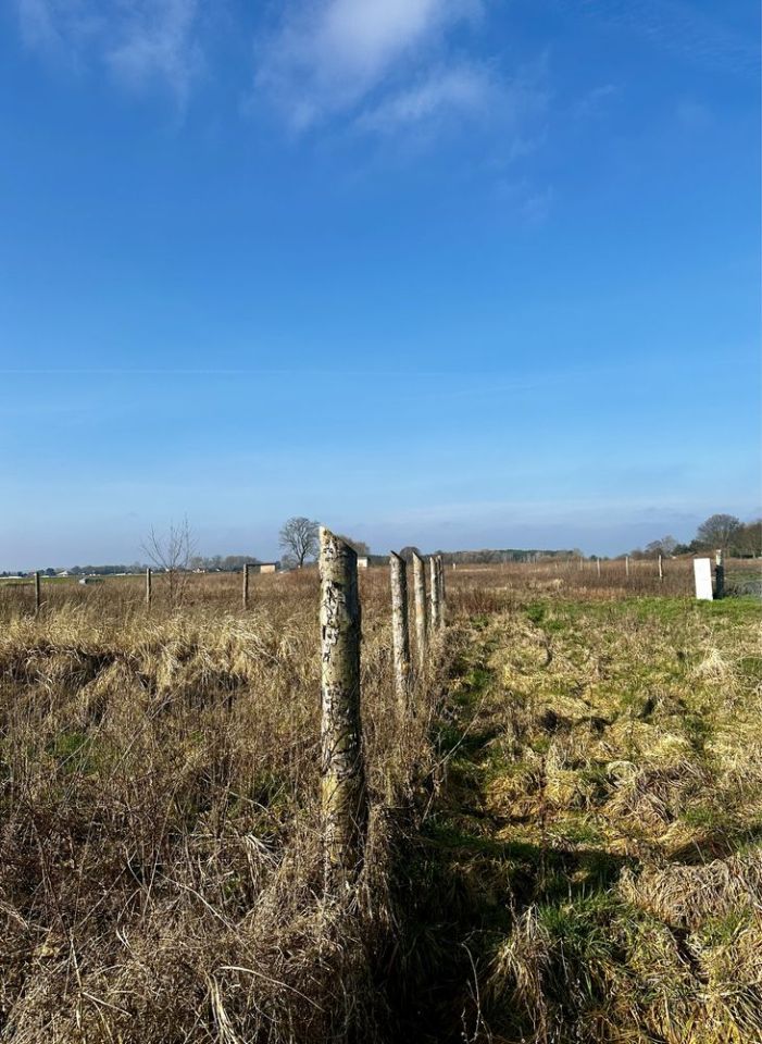 Działka rolno-budowlana Kępy Lubczyńskie. Zdjęcie 4