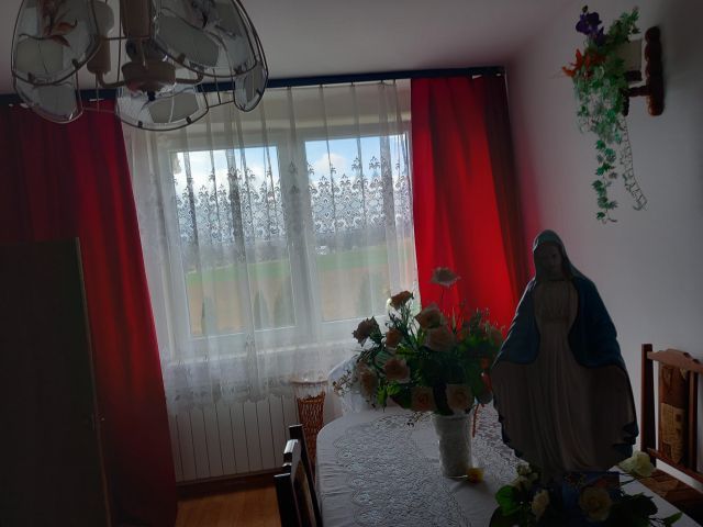 Mieszkanie 3-pokojowe Bachórz. Zdjęcie 1