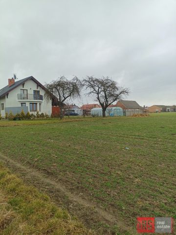 Działka budowlana Gradowice. Zdjęcie 4