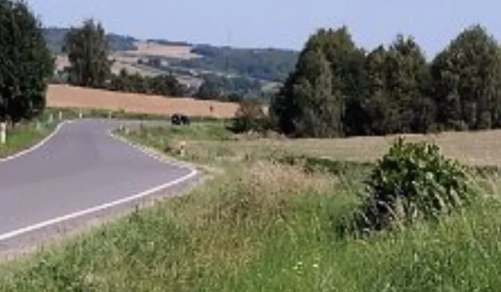 Działka rolna Skierbieszów, ul. Zamojska