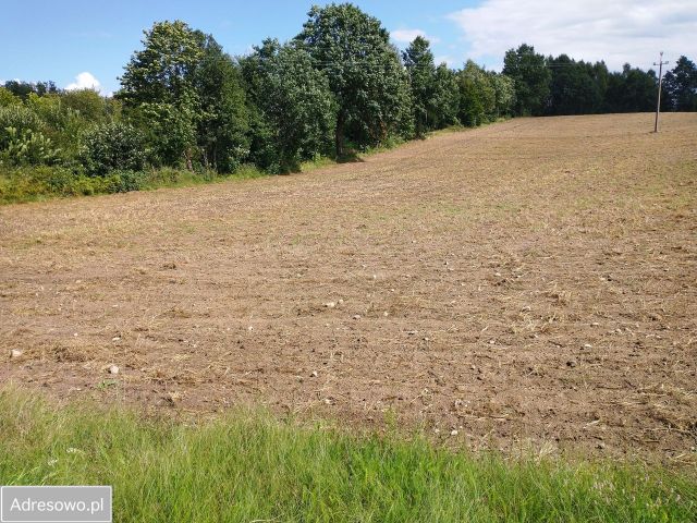 Działka budowlana Sulęczyno, ul. Zimna Góra. Zdjęcie 1