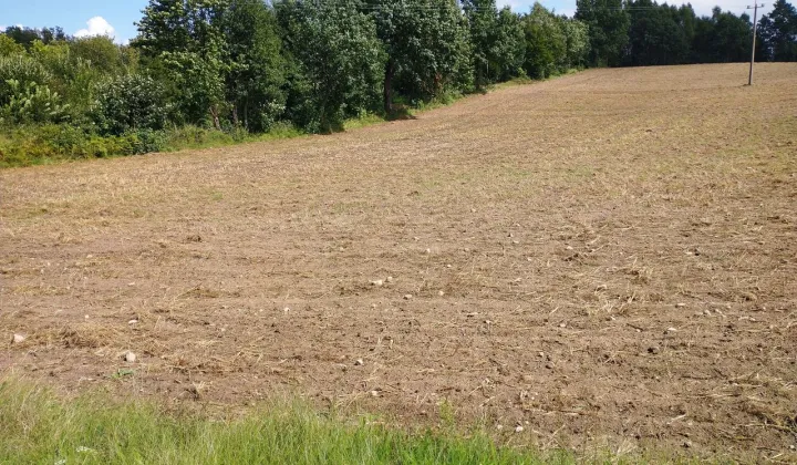 Działka budowlana Sulęczyno, ul. Zimna Góra