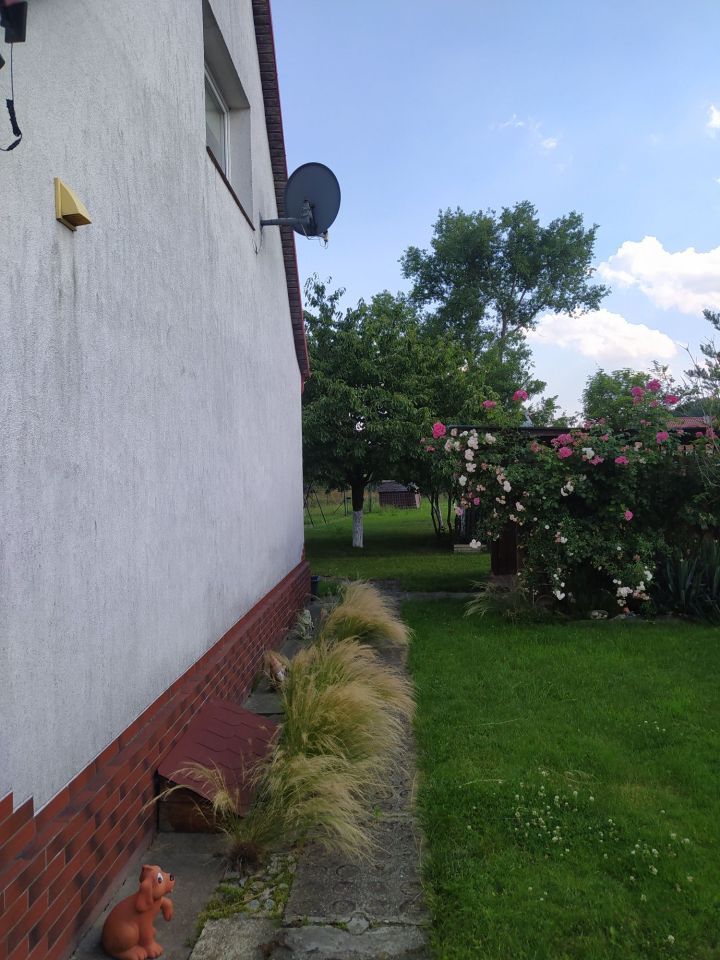 Mieszkanie 3-pokojowe Trzebcz. Zdjęcie 4