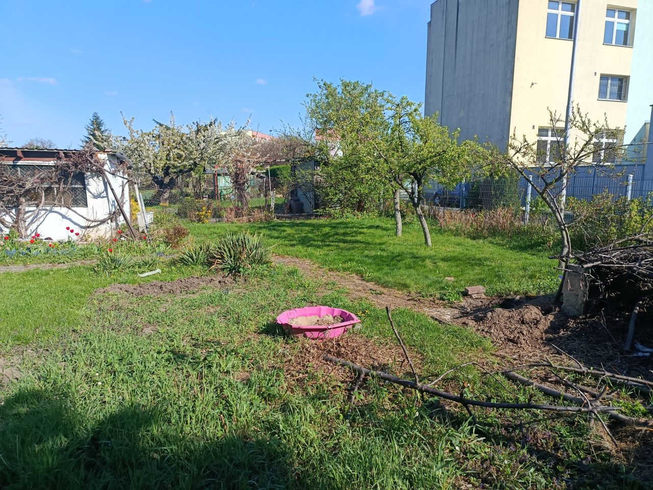 Działka rod Świdnica, ul. Jodłowa. Zdjęcie 6