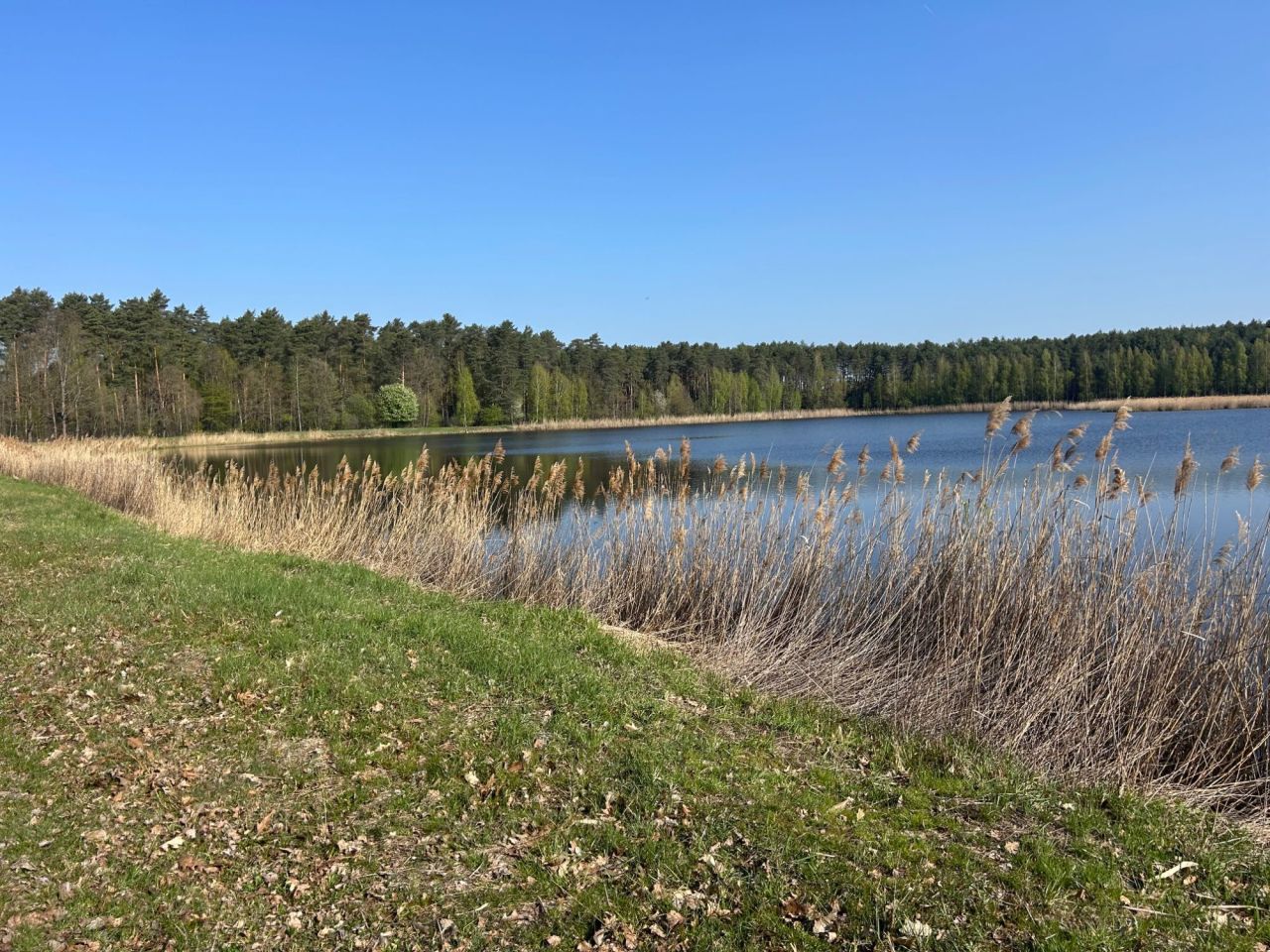 dom wolnostojący Janów Lubelski. Zdjęcie 7