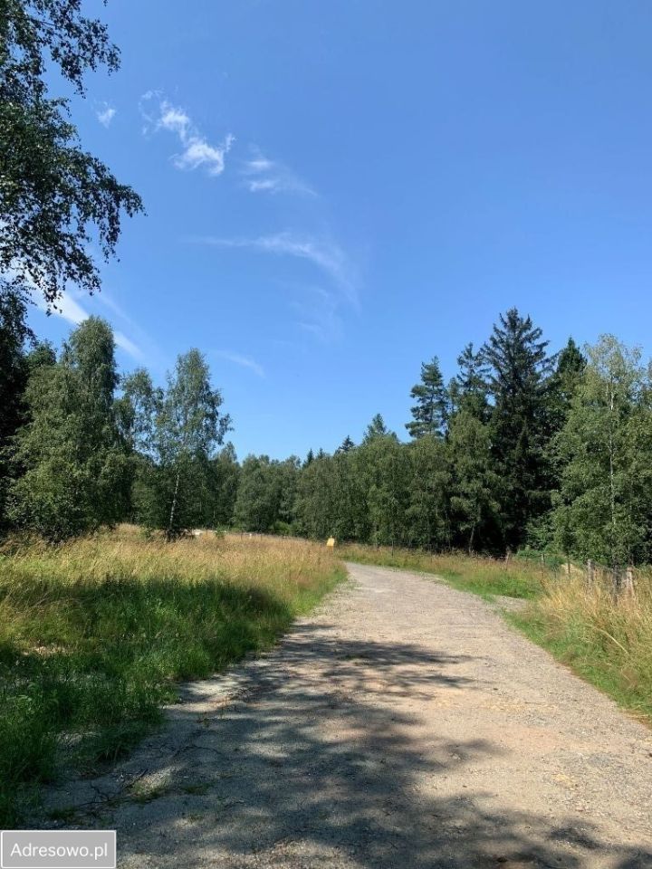 Działka budowlana Studzienno. Zdjęcie 5