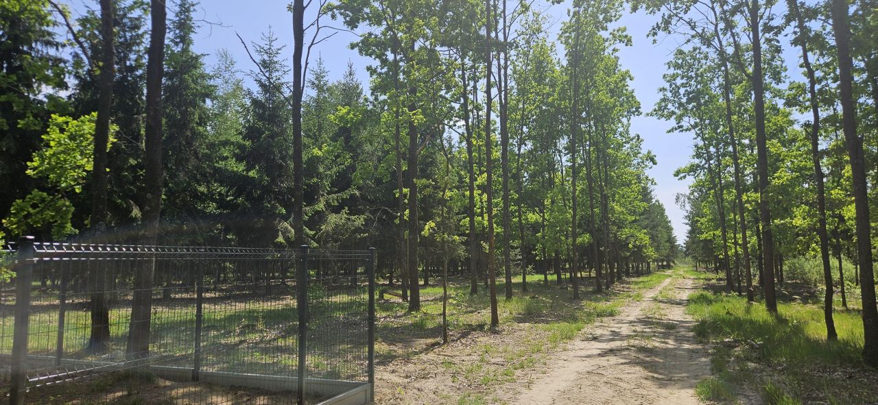 Działka budowlana Studnie. Zdjęcie 4