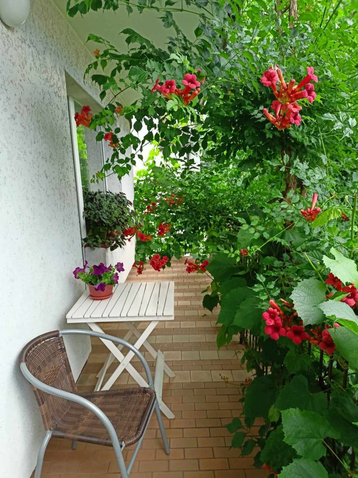 dom wolnostojący, 9 pokoi Kołobrzeg Radzikowo, ul. Głogowa. Zdjęcie 2