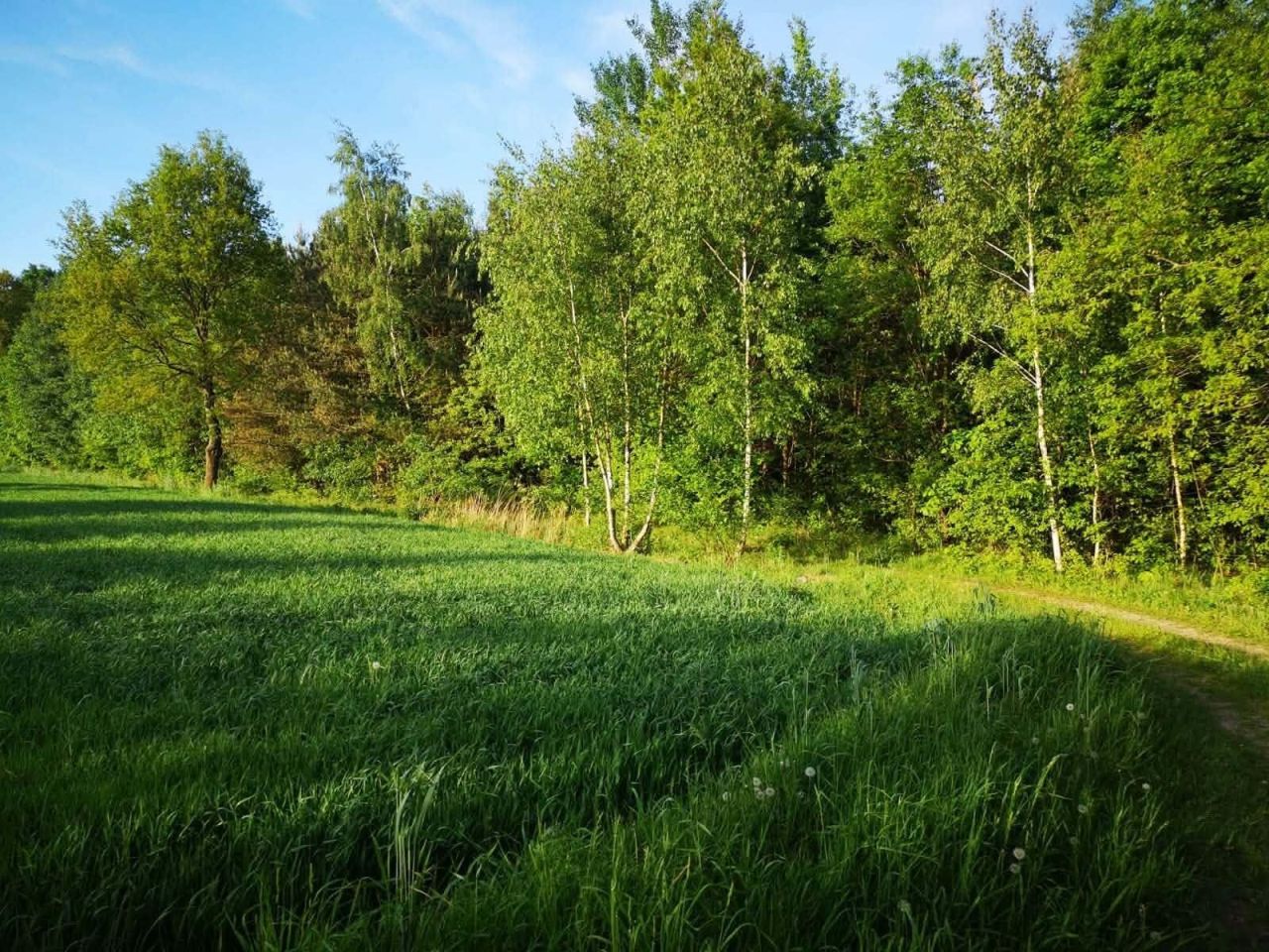 Działka rolna Bukówno Śliwiny. Zdjęcie 1