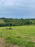 Działka rolno-budowlana Michałowice, ul. Warszawka. Zdjęcie 2