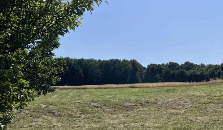 Działka rolno-budowlana Olchowa