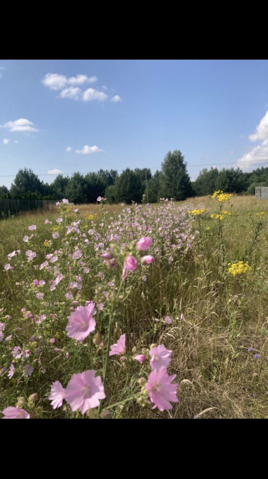 Działka budowlana Niewodnica Nargilewska. Zdjęcie 2