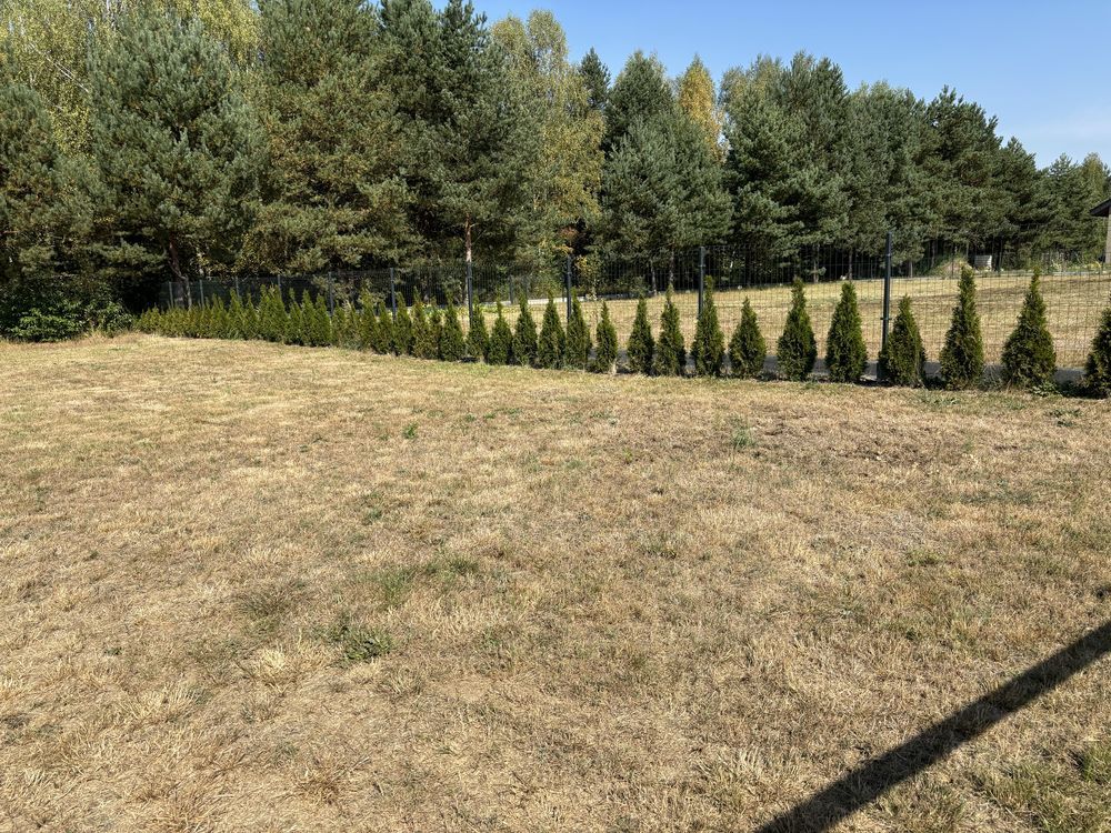 Działka budowlana Blachownia. Zdjęcie 6