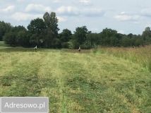 Działka rolna Popowa Wola. Zdjęcie 1