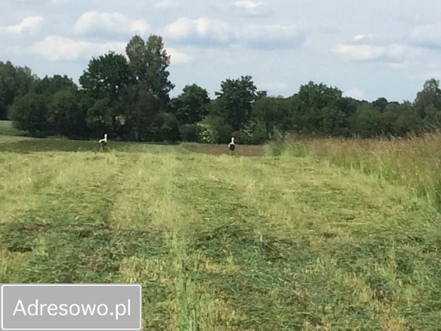 Działka rolna Popowa Wola. Zdjęcie 2