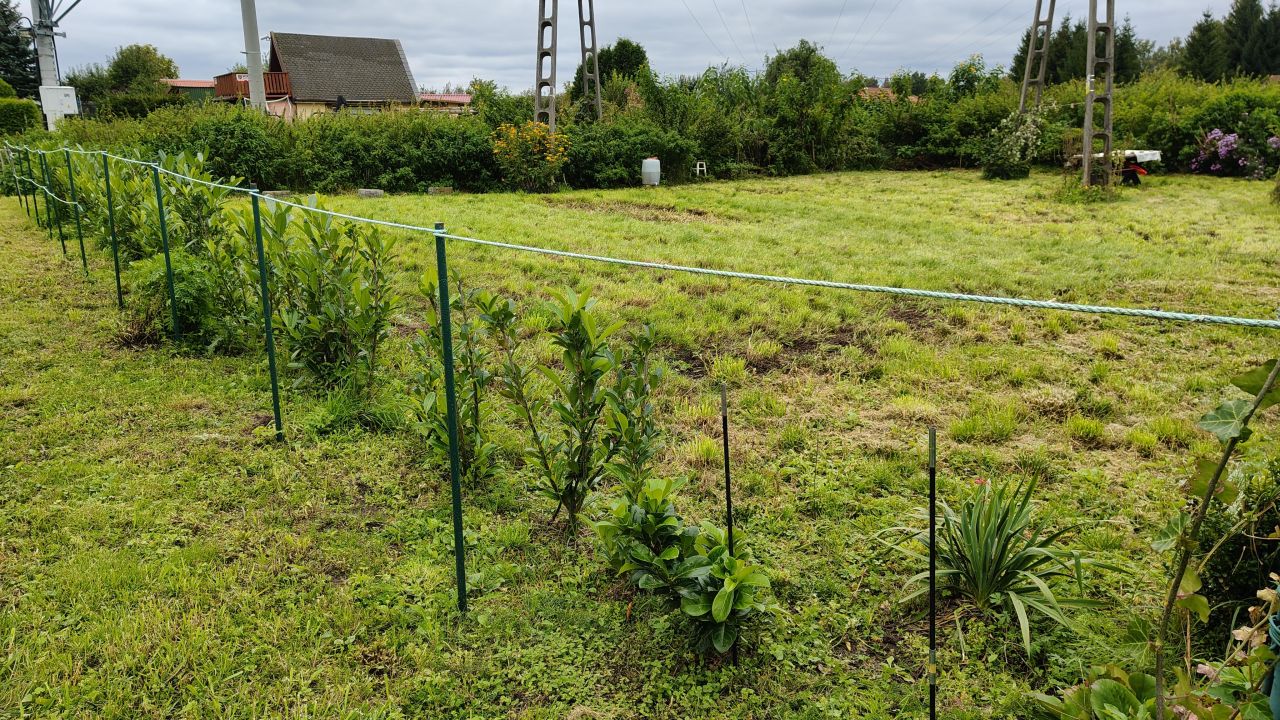 Działka rod Węgorzewo, ul. Braci Ejsmontów. Zdjęcie 7