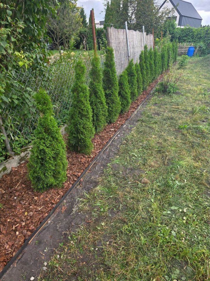 Działka rod Annowo. Zdjęcie 5