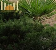 Działka budowlana Trzcinka