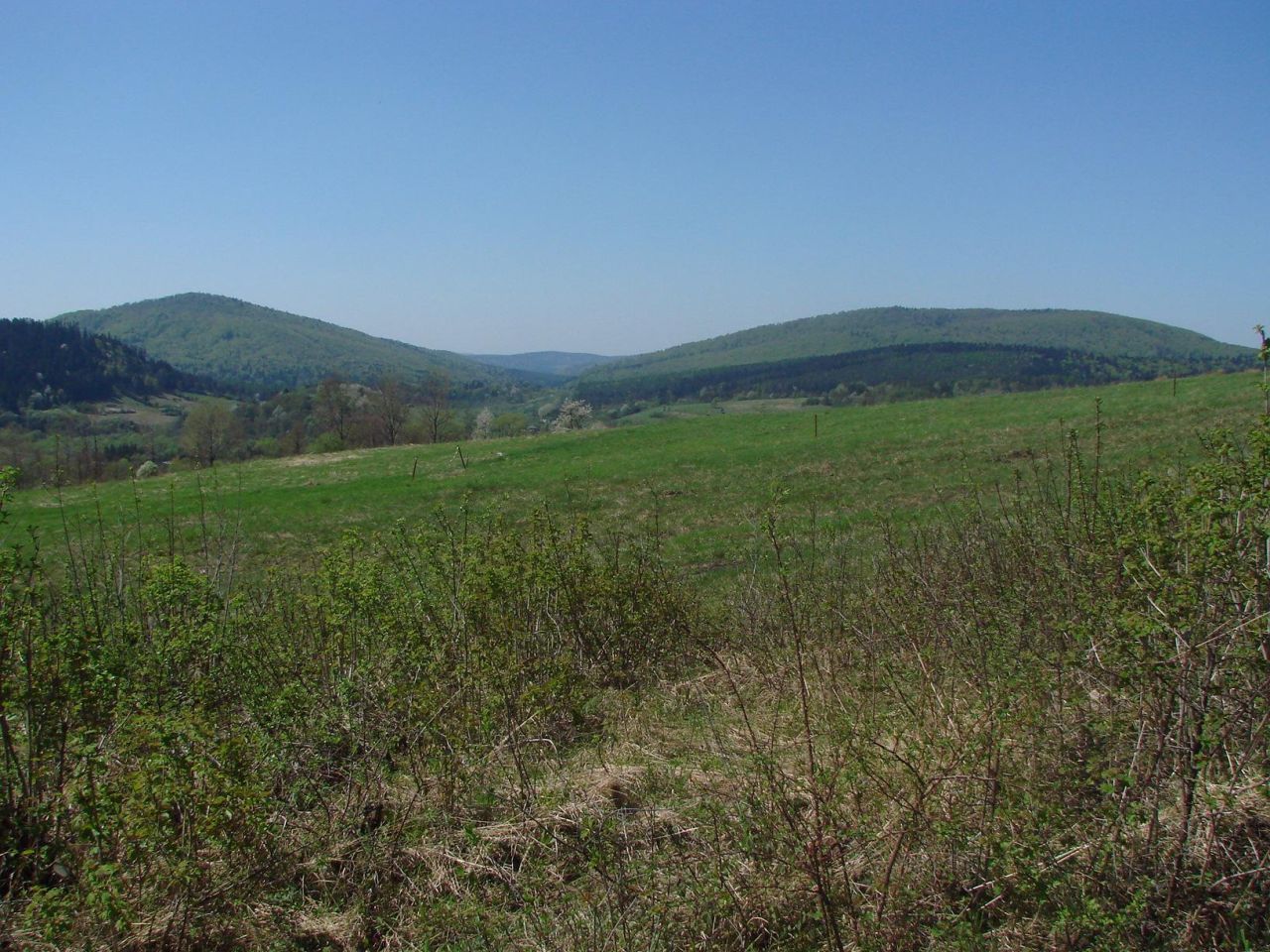 Działka rolna Posada Jaśliska Sołtyskie. Zdjęcie 4