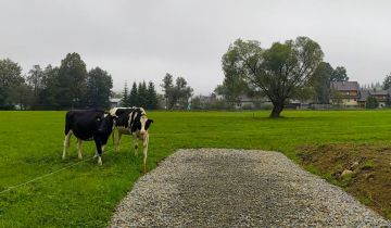 Działka rolno-budowlana Ciche