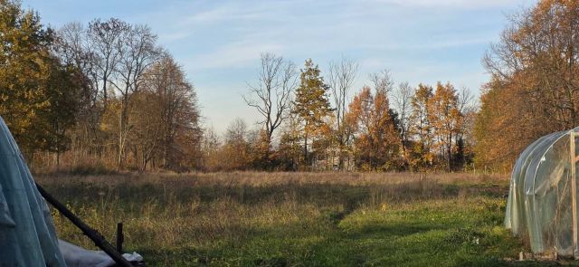 Działka budowlana Strzelce Wielkie. Zdjęcie 1