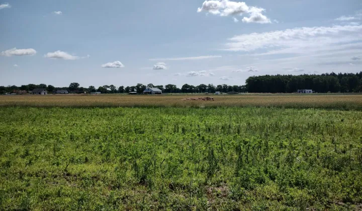 Działka budowlana Piotrowice, ul. Świerkowa