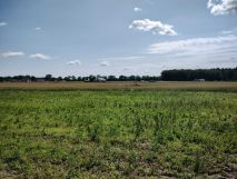 Działka budowlana Piotrowice, ul. Świerkowa