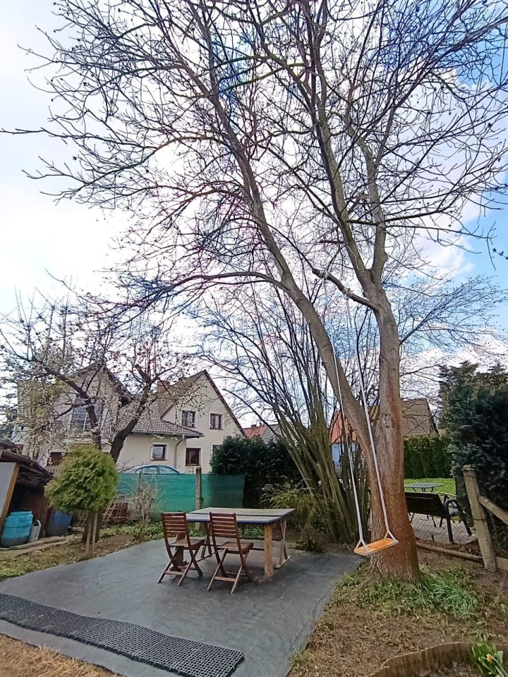 Działka rod Nysa, ul. Władysława Jagiełły. Zdjęcie 3