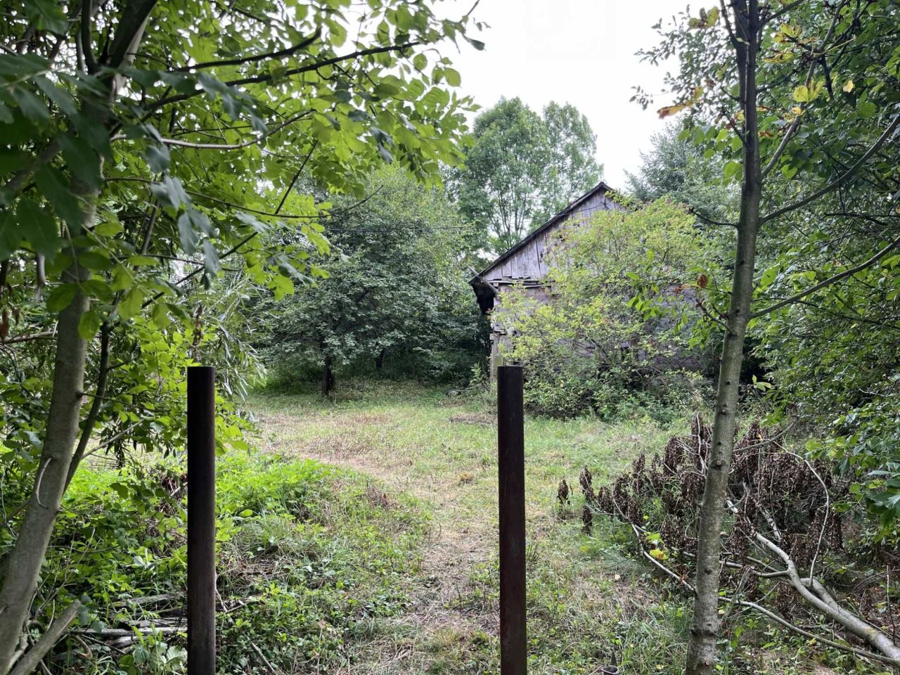 Działka siedliskowa Niemirów. Zdjęcie 2