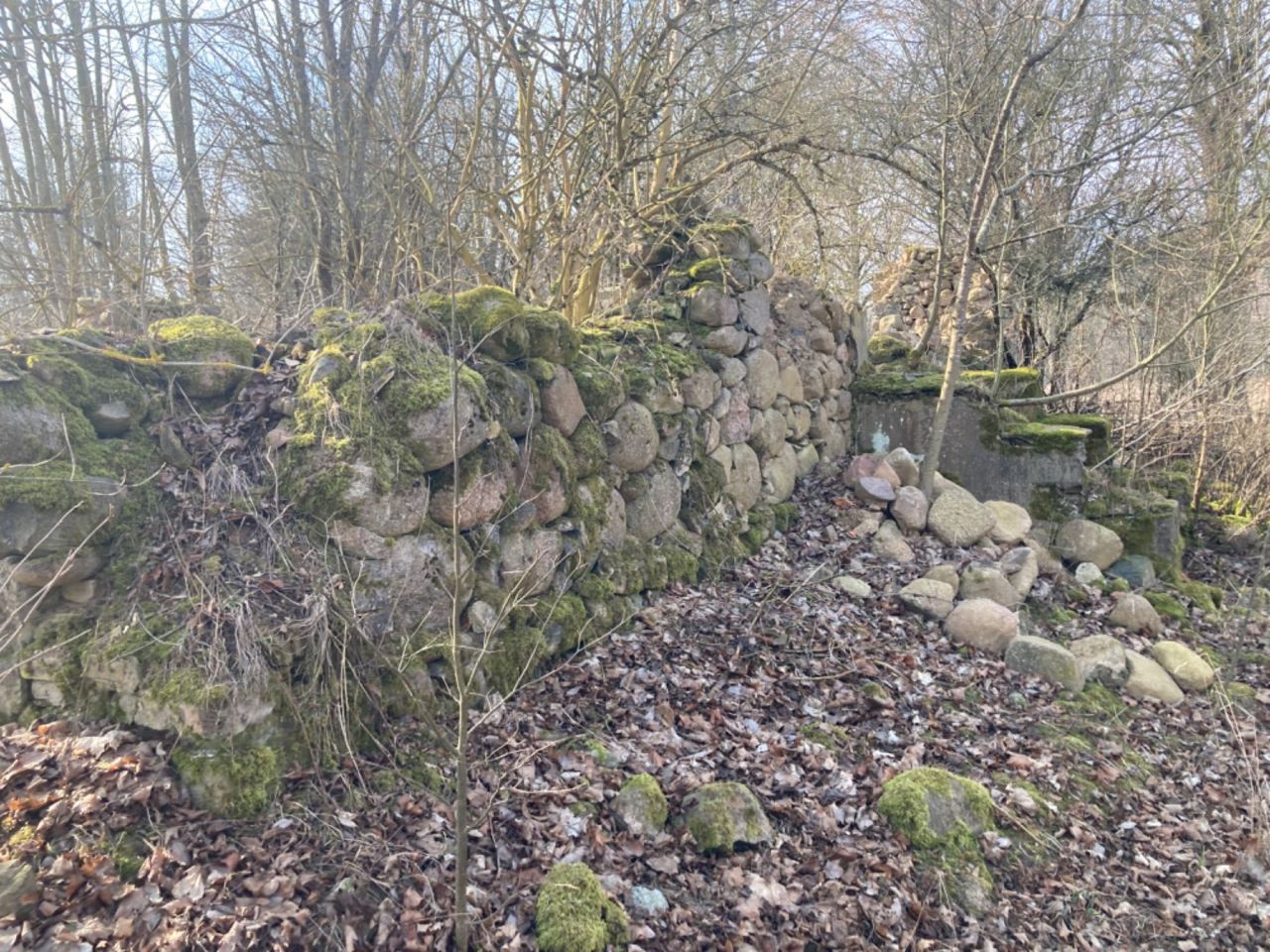 Działka rolna Pietrasze. Zdjęcie 6