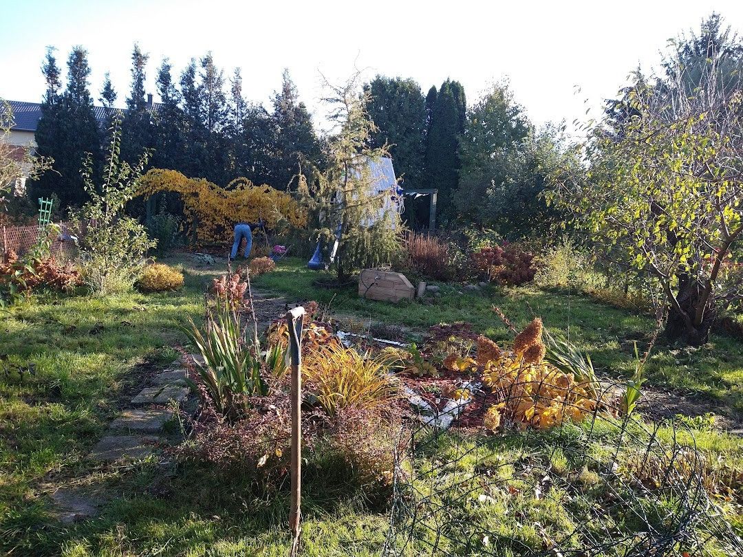 Działka rod Grodzisk Mazowiecki, ul. Akacjowa. Zdjęcie 10