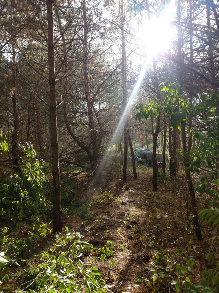 Działka rolna Biały Zdrój. Zdjęcie 5
