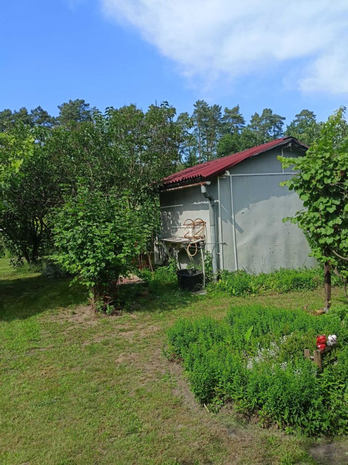 Działka rod Zielona Góra. Zdjęcie 1