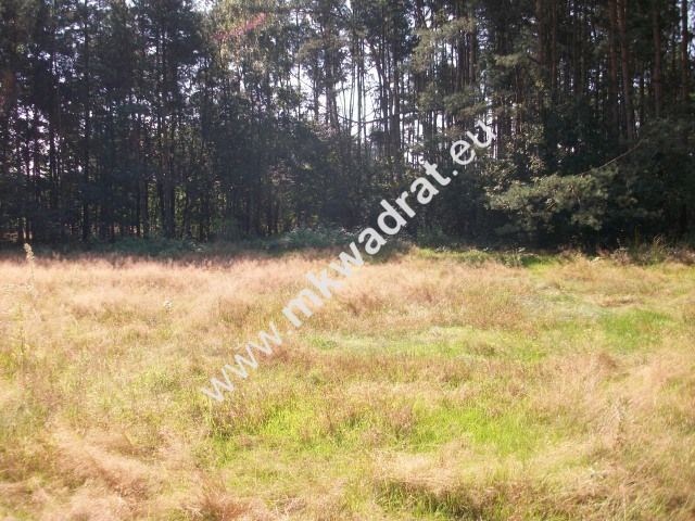 Działka rolna Budy Mszczonowskie. Zdjęcie 2