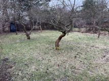 Działka rod Warszawa Wilanów, ul. Augustówka. Zdjęcie 3