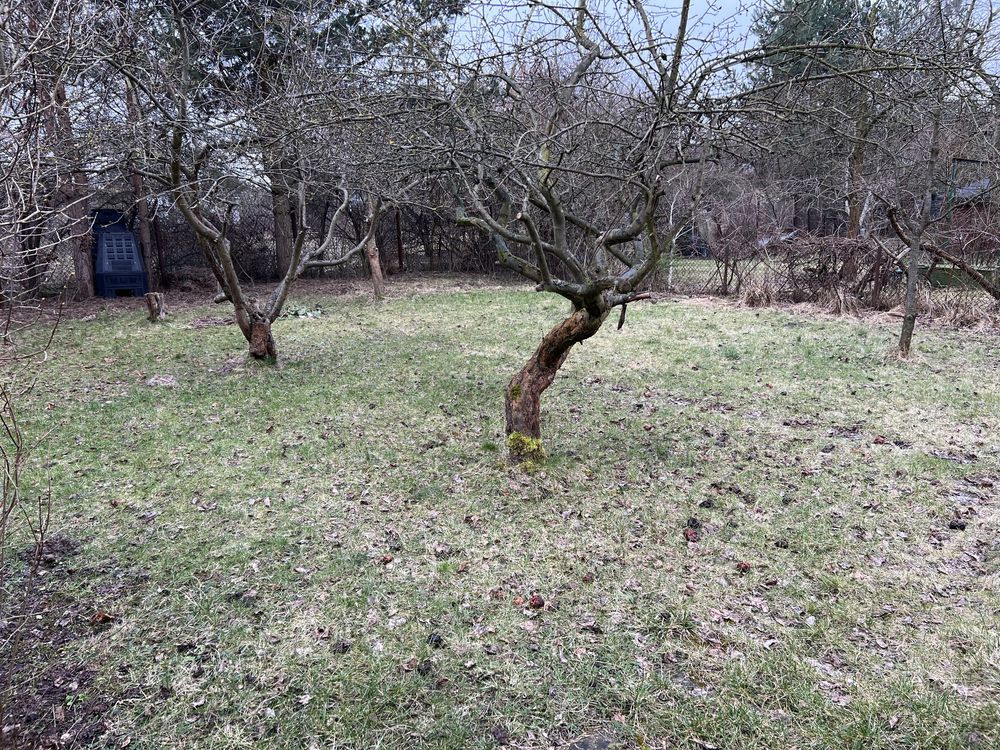 Działka rod Warszawa Wilanów, ul. Augustówka. Zdjęcie 4