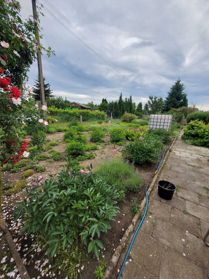 Działka rod Nowa Sól, ul. Ceglana. Zdjęcie 6