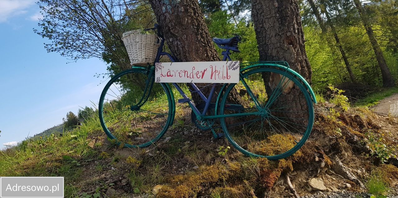 Nieruchomość komercyjna Wisła, ul. Spacerowa. Zdjęcie 19