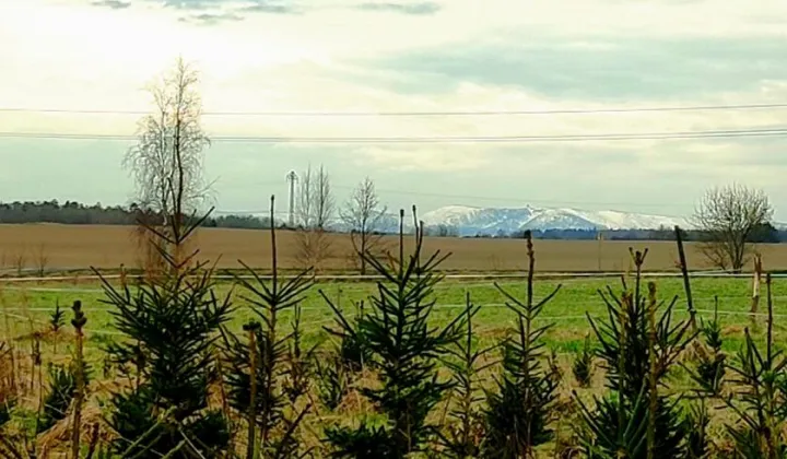 Działka inna Milęcice