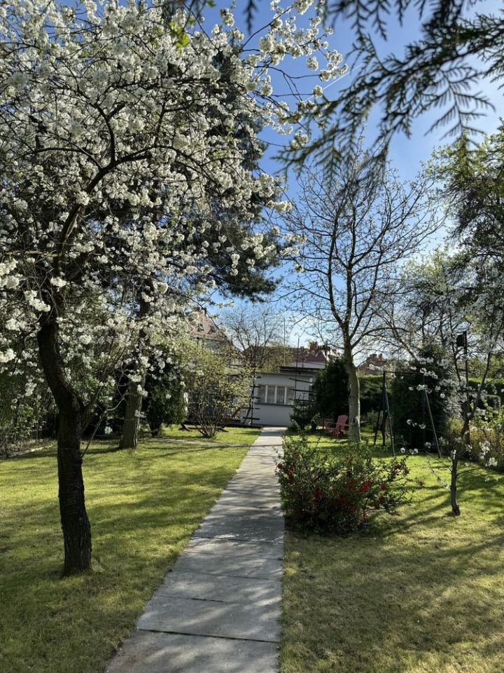 Działka rod Bytom, ul. Piotra Woźniaka. Zdjęcie 6