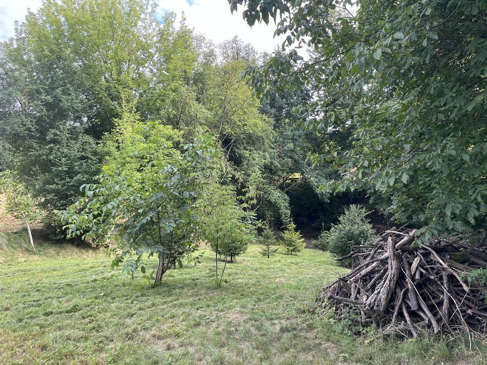 Działka rekreacyjna Miechów. Zdjęcie 3