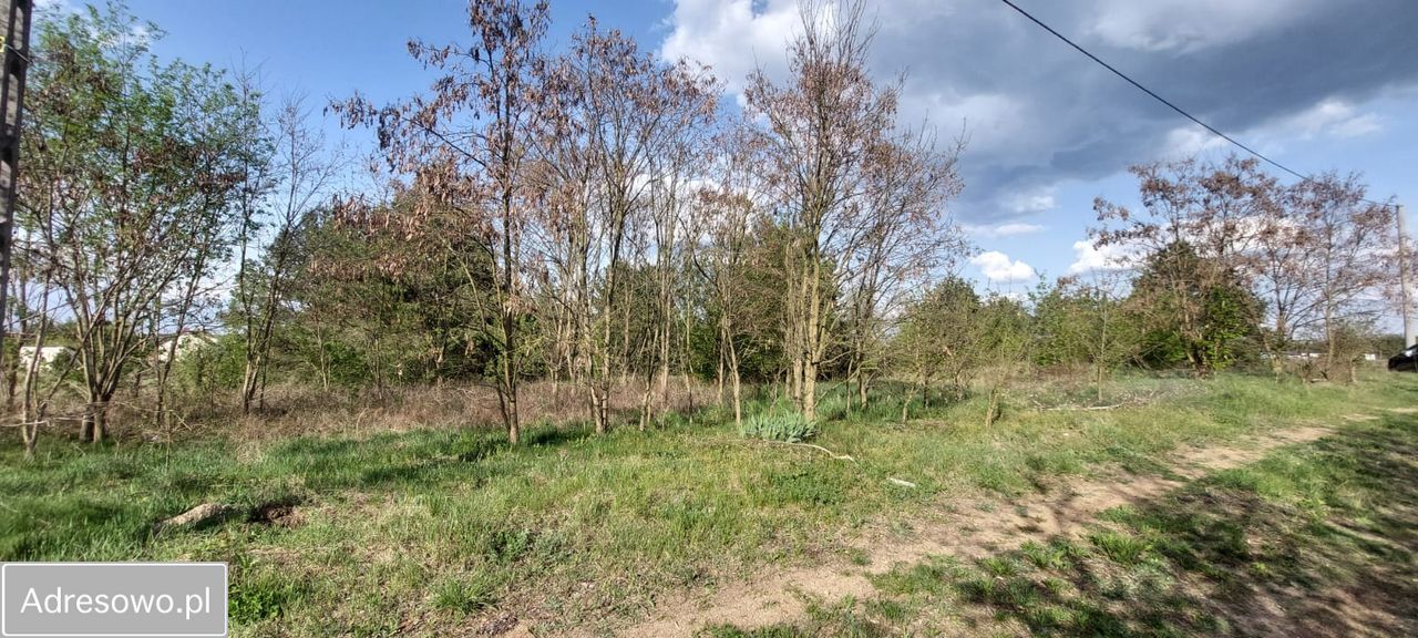 Działka budowlana Różan, ul. Bursztynowa. Zdjęcie 5